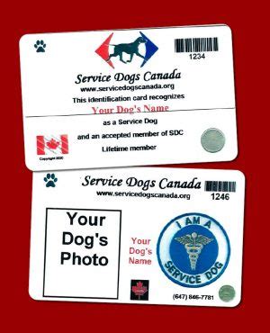 Service Dogs Canada: Online Identification for Service Dogs