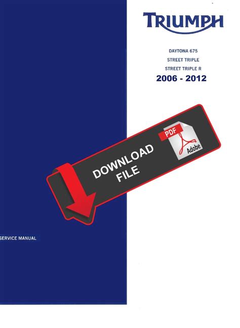Service Manual Triumph 675