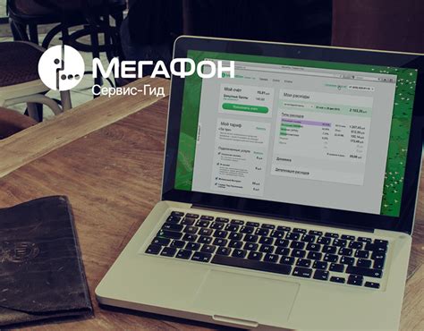 Service Megafon Guide Volga