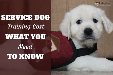 Service dog training cost. A trained service dog can cost as much as $15,000 to $30,000 — and even up to $50,000 — upfront. But you can save money on upfront costs by training your own dog. Upkeep and healthcare … 