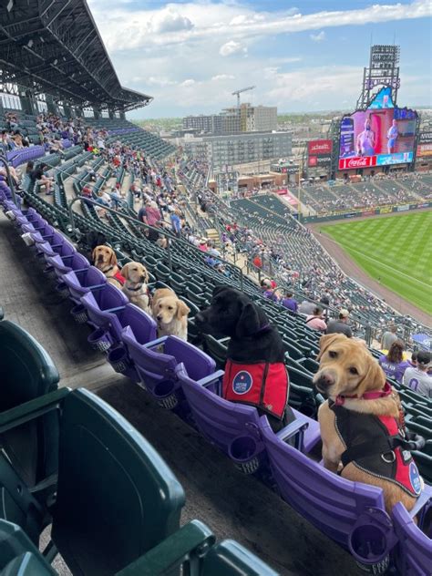 Service dogs root for Rockies at Coors Field