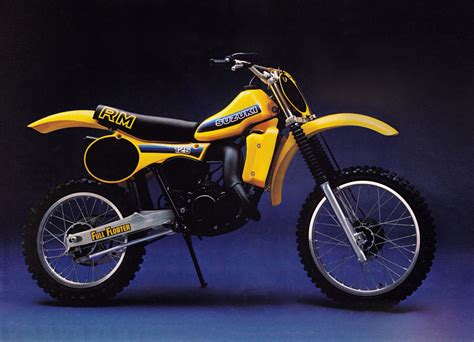 Service manual 1981 suzuki rm 125. - Pdf cant you make them behave king george book by putnam adult.