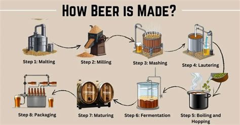 Service of beer pdf.  This comprehensive guide covers everything from selecting th...