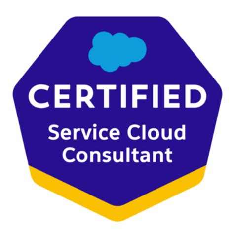 Service-Cloud-Consultant Buch