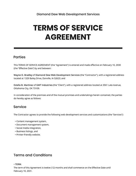 Services Agreement Terms and Conditions