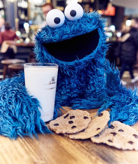 Sesame Street: Cookie Monster