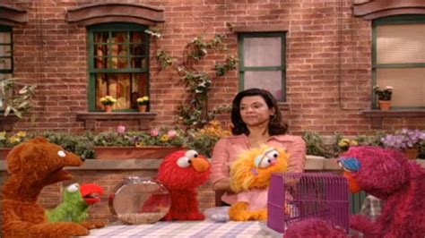Big Bird is pretending to be a tree and opens with a tree joke. Alan and some kids join him, and Alan sings " Let's Be Trees ." Muppets. Robert De Niro explains to Elmo what an actor is, and proceeds in imagining himself variously as a dog, cabbage, and a clone of Elmo. ( First: Episode 3978) Muppets. The Number of the Day: 8.. 