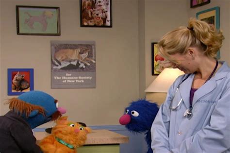 Description. SCENE 1. Maria finishes her work at the Fix-It Shop, and welcomes the viewer to Sesame Street. She's about to spend time with Big Bird, when he comes by and introduces her to Mr. and Mrs. Bird, and their Baby Bird. The Bird parents need a babysitter, and they're here because Big Bird recommended Maria to them.. 