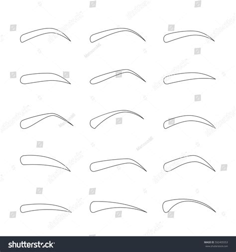 Set of Outline Eyebrows in Different Shapes and Types Stock Vector