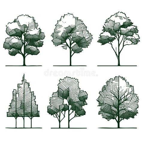 Set of hand drawn architect trees. Vector sketch. Architectural