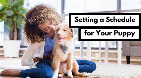 Setting Schedules And Developing A Routine For Your New Puppy