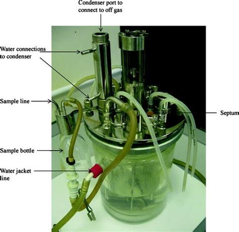 Setting Up a Bioreactor for Recombinant Protein …