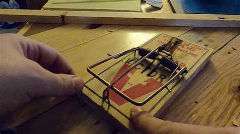 Setting Up the Mouse Trap - How To Discuss