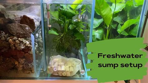 Setting up a freshwater aquarium an owners guide to a happy healthy pet. - Is god real rzim critical questions discussion guides.