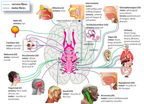 Settle them nerves! An eighth health update summary!