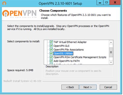 Setup openvpn server windows.  installing OpenVPN software.  In this section we'll be disc...