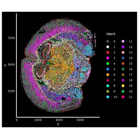 Seurat for Spatial Transcriptomics how to change names of