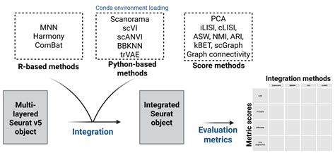 Seurat integration vignette.  SeuratIntegrate is an R package that aim...
