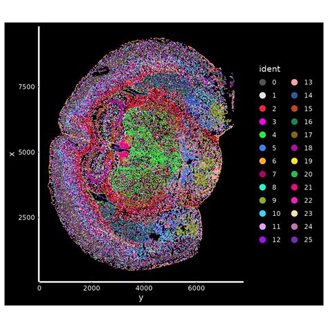 Seurat spatial feature plot. by OR features, not both. data column to gro...