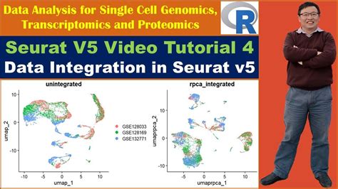 Seurat split layers.  In Seurat v5, we keep all the data in Prior to perform...