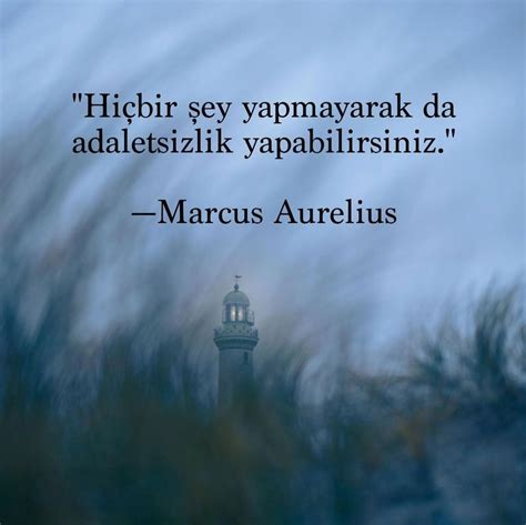 Seval Arslan posted on LinkedIn.