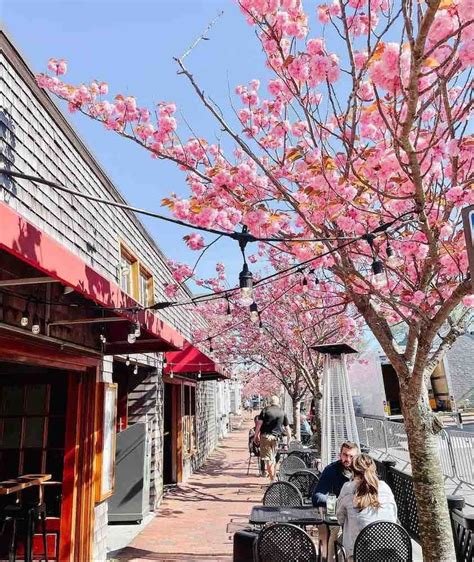 Seven Island Restaurants Granted Sidewalk Dining Permits