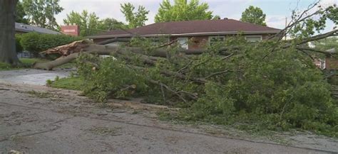 Severe storm left behind debris and tree limbs around St. Louis County