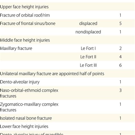 Severity of the injuries according to the FISS scale in relation to