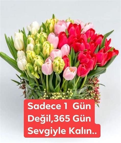 Sevgiyle kalın #14şubat #sevgililergünü TikTok.