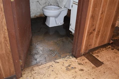 Sewage backup in basement. Once the drain starts flowing again, remove all water and sewage as quickly as possible. · Hose down the affected area, then wash surfaces with hot, soapy water. 
