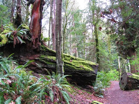 Seward Park Audubon Center