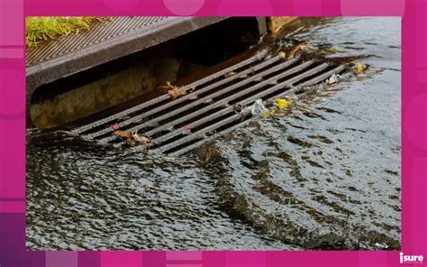 Sewer backup coverage How to protect your home isure.ca