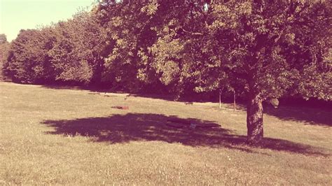 Sex Treffen Stuttgart