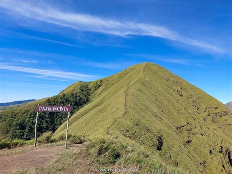 Sex anak dara. .  <a href=https://bdemand.betelgeusetech.com/assets/images/y...