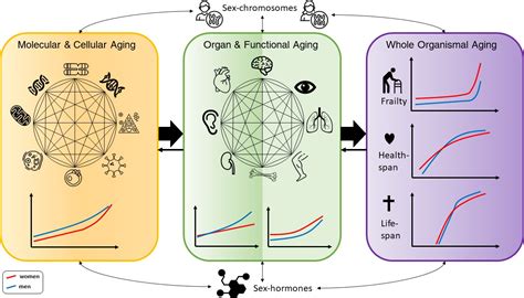 Sex differences and the interaction of age and sleep issues in ... - PubMed