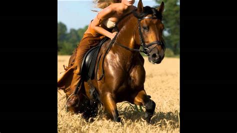 Sexo caballo mujer. Things To Know About Sexo caballo mujer. 