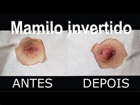 Sexo com mamilo duro
