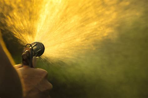 Sexual golden shower. Things To Know About Sexual golden shower. 