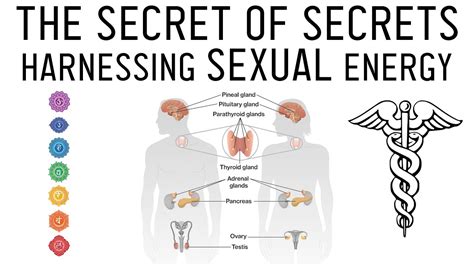 Sexual transmutation. Sexual energy transmutation is the process of channeling this physical aggression into some creative force or reckoning. It’s the way how we rewire our subconscious nature to propel our libido urgencies into something more akin to the fuel for success and achievement. 
