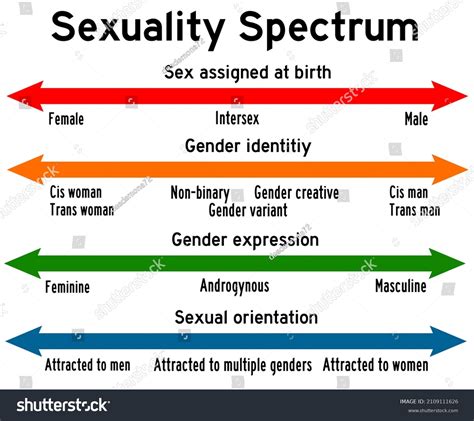 Sexuality spectrum. 