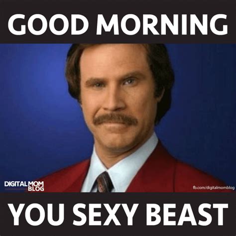 Sexy morning memes. Things To Know About Sexy morning memes. 