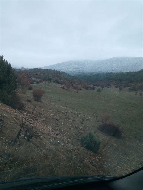 Seyhyahsi Halı ve Koltuk Yıkama