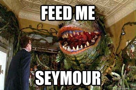Seymour feed me. Things To Know About Seymour feed me. 