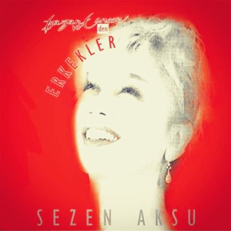 Sezen Aksu-Erkekler Keyfi Müzik.