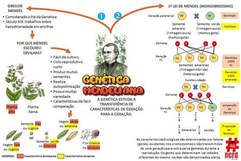 Sezione 2 guida allo studio sulla genetica mendeliana capitolo 10 risposte. - Balseros, historia oral del éxodo cubano del '94.