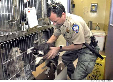 Sf animal control. Things To Know About Sf animal control. 