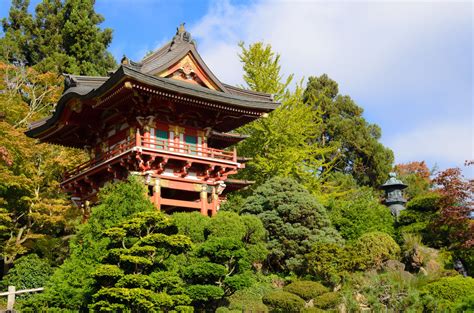 SFO - OSA. $581 Find cheap flights from San Francisco to Osaka. Round-trip. 1 adult. Economy. 0 bags. Add hotel. qua 6/12. qua 6/19. Search hundreds of travel sites at once ….