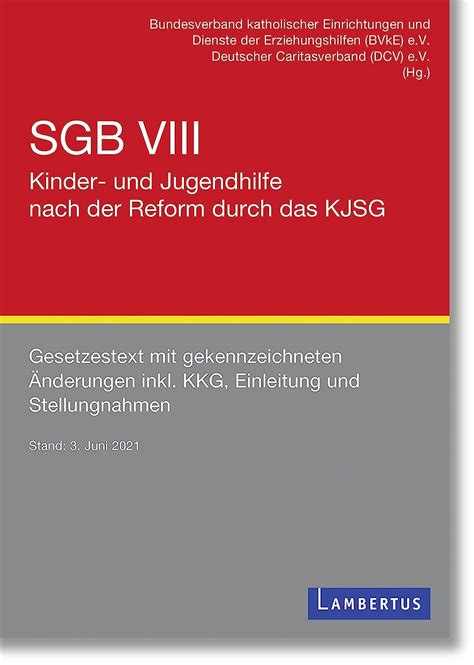 Sgb viii   kinder  und jugendhilfe. - Teoría general de las obligaciones en el derecho del trabajo.