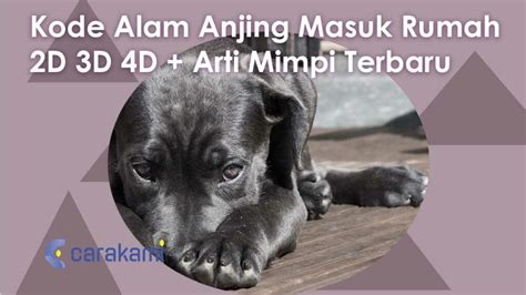 Sgp singapore 02 05 2018. Kode alam anjing masuk.