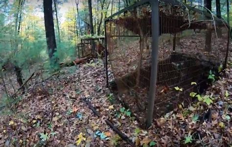 Shade Swamp Sanctuary Is A Creepy Abandoned Zoo …